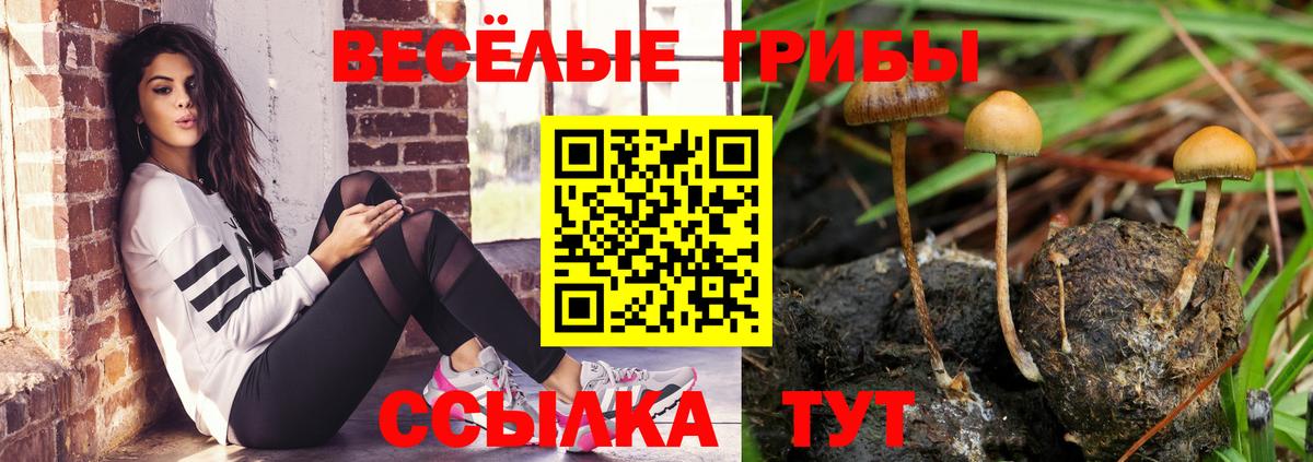 Галлюциногенные грибы мицелий  Вход с VPN  Верхняя Пышма  Псилоцибиновые грибы ЛСД 